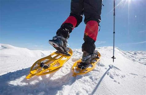 Ciaspolata Sull Alpe Di Siusi Percorso Per La Punta D Oro