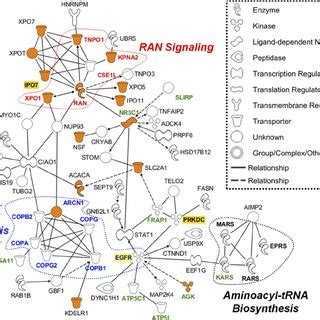 The Cellular PA Interaction Networks The Cellular Interaction Networks