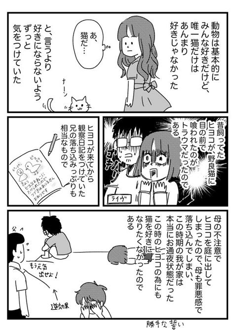 「猫と向き合った時の話① 【再掲】 」ワンコロもちべヱの漫画