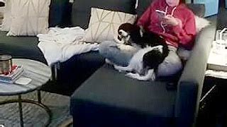 Caught Masturbating HD Porn Videos FEMEFUN