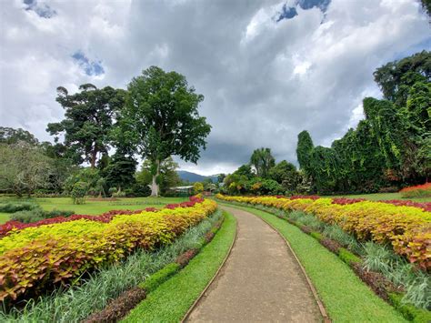 Royal Botanical Gardens Peradeniya Contact | Fasci Garden