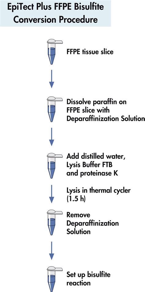 Epitect Plus Bisulfite Kits