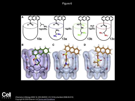 Chemistry And Catalysis In Functional Cavitands Ppt Download