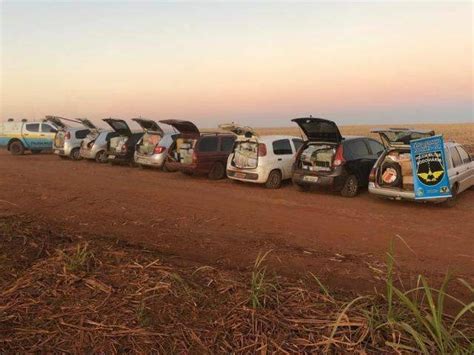 Pol Cia Apreende Comboio De Oito Carros R Mil Em Contrabando