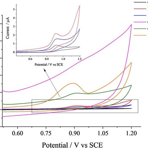 The Adsorptive Stripping Cyclic Voltammetric Responses Of Mm Fip On