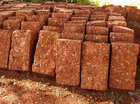 Laterite Bricks At Best Price In Coimbatore Id Kag