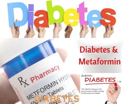 Type 2 Diabetes and Metformin