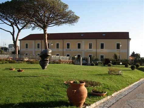 Il Parco Internazionale Della Scultura Di Catanzaro Un Museo A Cielo