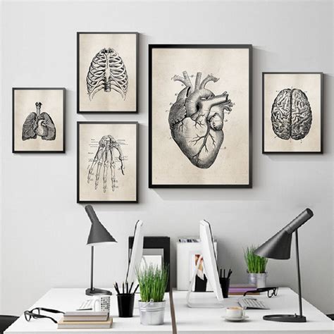 Human Anatomy Science Vintage Posters Art Prints , Medical Anatomy ...