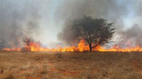 Veld Fires Destroy 5 2 Million Property The Sunday News