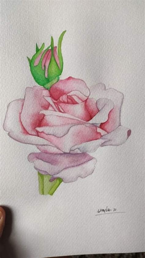 Pin By Marina Ferreiro On Acuarelas In 2024 Watercolor Flowers