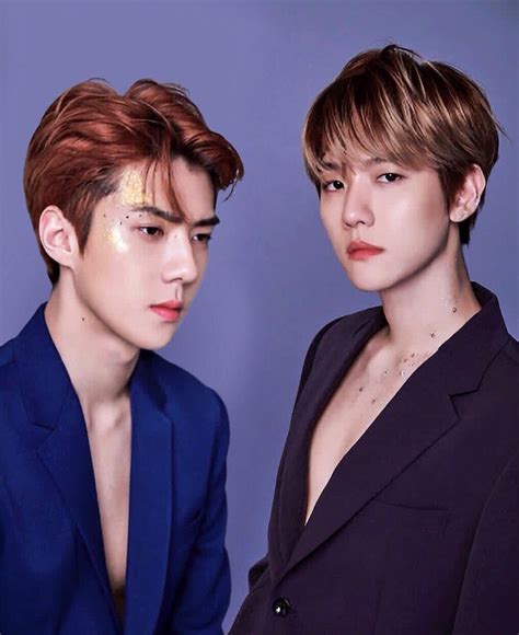 SEHUN BAEKHYUN EXO Photo 41641541 Fanpop