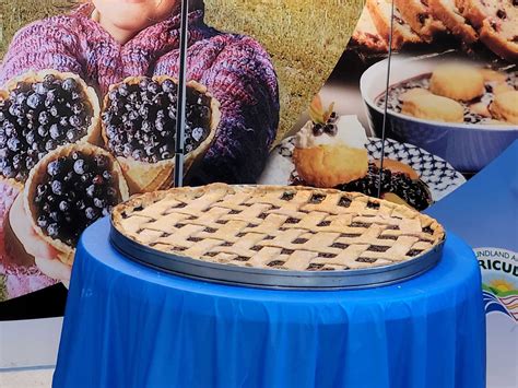 Brigus Blueberry Festival starts today – NTV