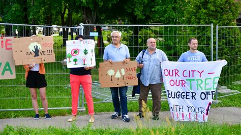 Trwa Protest Przeciwko Wycince Drzew Rozpocz A Si Wa Na Miejska