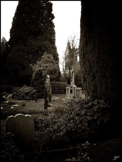 Graveyard 1 By Oculus Mundi On Deviantart