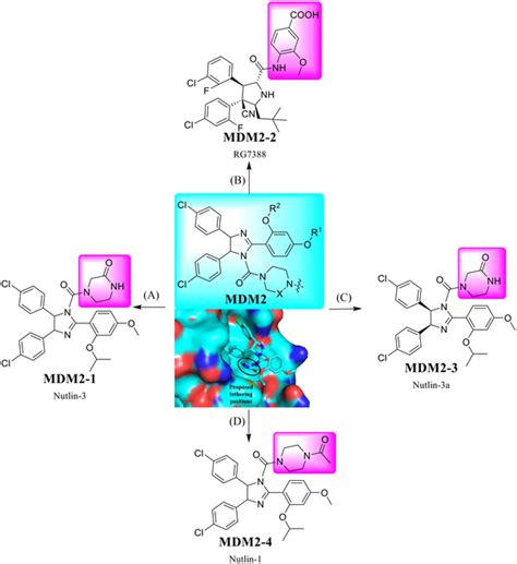 A Variety Of Small Molecules That Serve As The Ligands For Mdm E