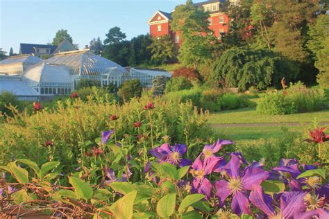 Smith College Botanic Garden Early Summer Flowers Photograph By John