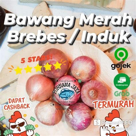 Jual Bawang Merah Brebes Induk Segar Bandung Shopee Indonesia