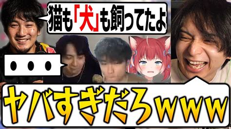 ウメハラさんの地雷を踏んだ瞬間のメンバー視点を見て爆笑するけんき【けんき切り抜き】 Youtube