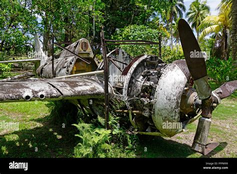 Los restos del avión de combate estadounidense Grumman Wildcat en