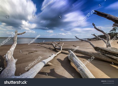 Boneyard Beach Florida Stock Photo 1034063590 | Shutterstock