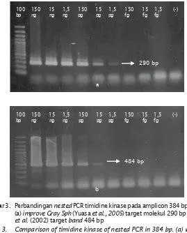 DIAGNOSA KOI HERPES VIRUS KHV DENGAN TEKNIK POLYMERASE CHAIN REACTION