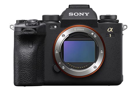 The Best Mirrorless Cameras Of Ranked