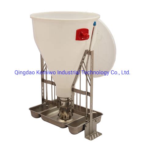 Pig Farm Fattening Automatic Feeder Plastic Double Sided Wet And Dry