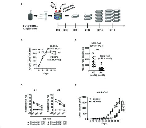 Ex Vivo Activated NK Cells Demonstrate Strong Anti Tumor Cytotoxicity