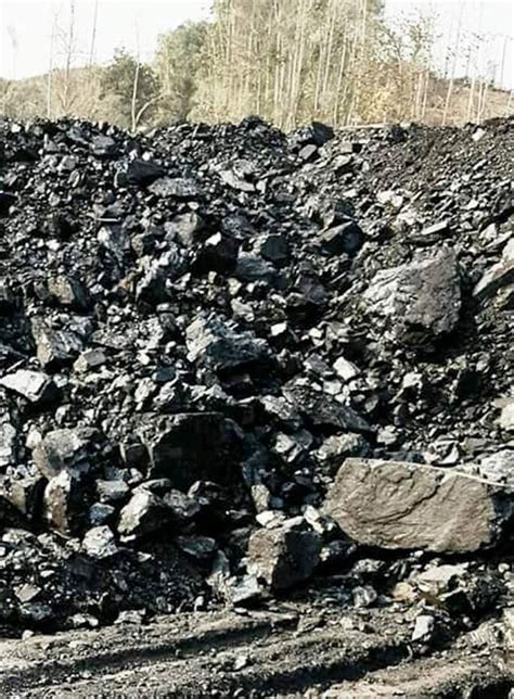 Solid Black Indonesian Steam Coal For Burning Grade 5800 Gcv At Rs