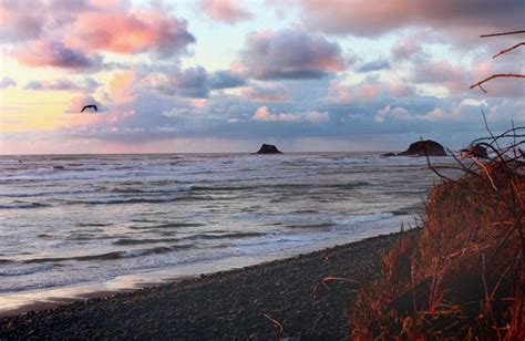 Two Enthralling, Semi-Secretive Coves of the Oregon Coast | Oregon ...