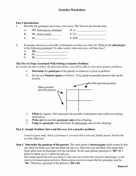 10 Genetics 7th Grade Science Worksheets ~ Edea Smith