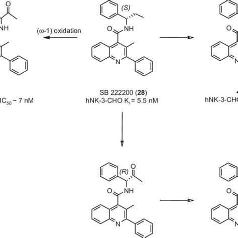 Quinoline Nk 3 Receptor Antagonists Derived From Sb 222200 Download