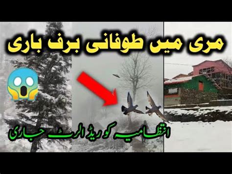 Murree Snowfall Murree Weather Update Murree Live Today Youtube