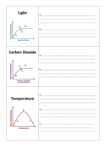 New 9-1 GCSE AQA Biology B8 Rate of Photosynthesis | Teaching Resources 