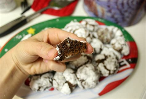 Fun With The Fullwoods Mint Chocolate Crinkle Cookies