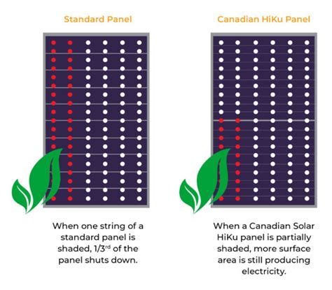 New Release Canadian Solar Hiku Dual Cell Panels Infinite Energy