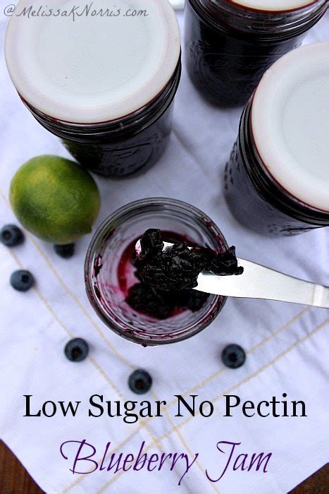 Blueberry Jam Recipe Without Pectin And Low Sugar