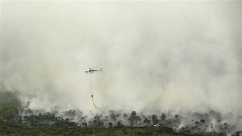 Awal Juli Hotspot Riau Terdeteksi Paling Banyak Di Rohil Riau