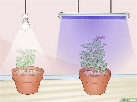 Regular Led Lights Vs Led Grow Lights What Is The Differences