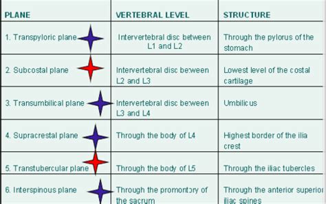 Subcostal Plane