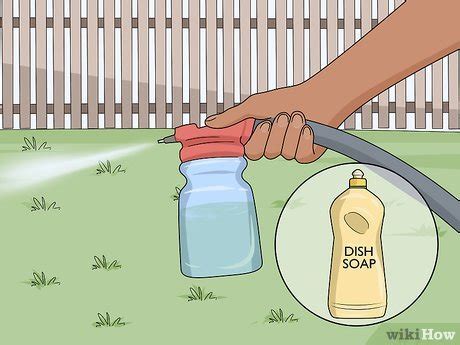 3 Ways To Treat Your Yard For Fleas Wikihow Life