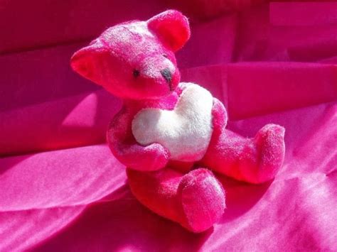 Pink Teddy Bear Wallpaper - WallpaperSafari