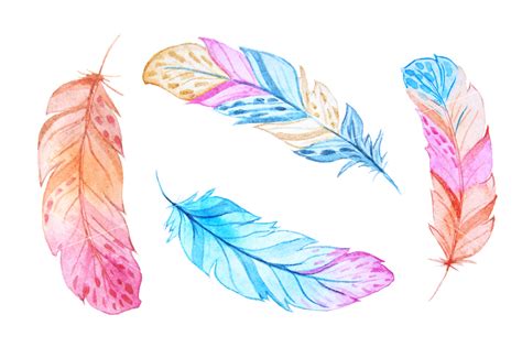 Watercolor Feathers Set Illustrations Design Bundles