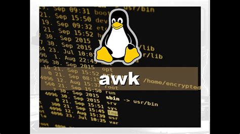 Comandos Essenciais para Administração de Servidores Linux awk YouTube