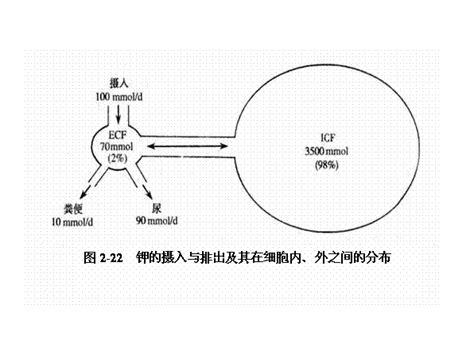 钾代谢紊乱 搜狗百科