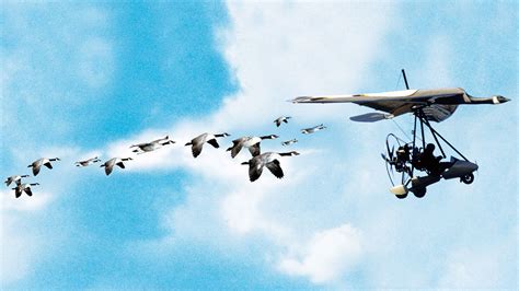 Fly Away Home | Full Movie | Movies Anywhere