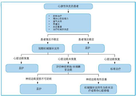 Esc现场速递｜血运重建指南－口袋书全文中文版来了！ 严道脑血管网