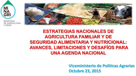 Estrategias Nacionales De Agricultura Familiar Y De Seguridad