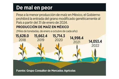 Cae producción de maíz a nivel mínimo en 4 años